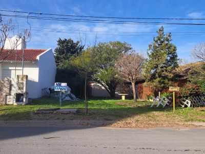 Imagen de WhatsApp 2025-06-13 a las 10.53.03_169ae8cb.jpg